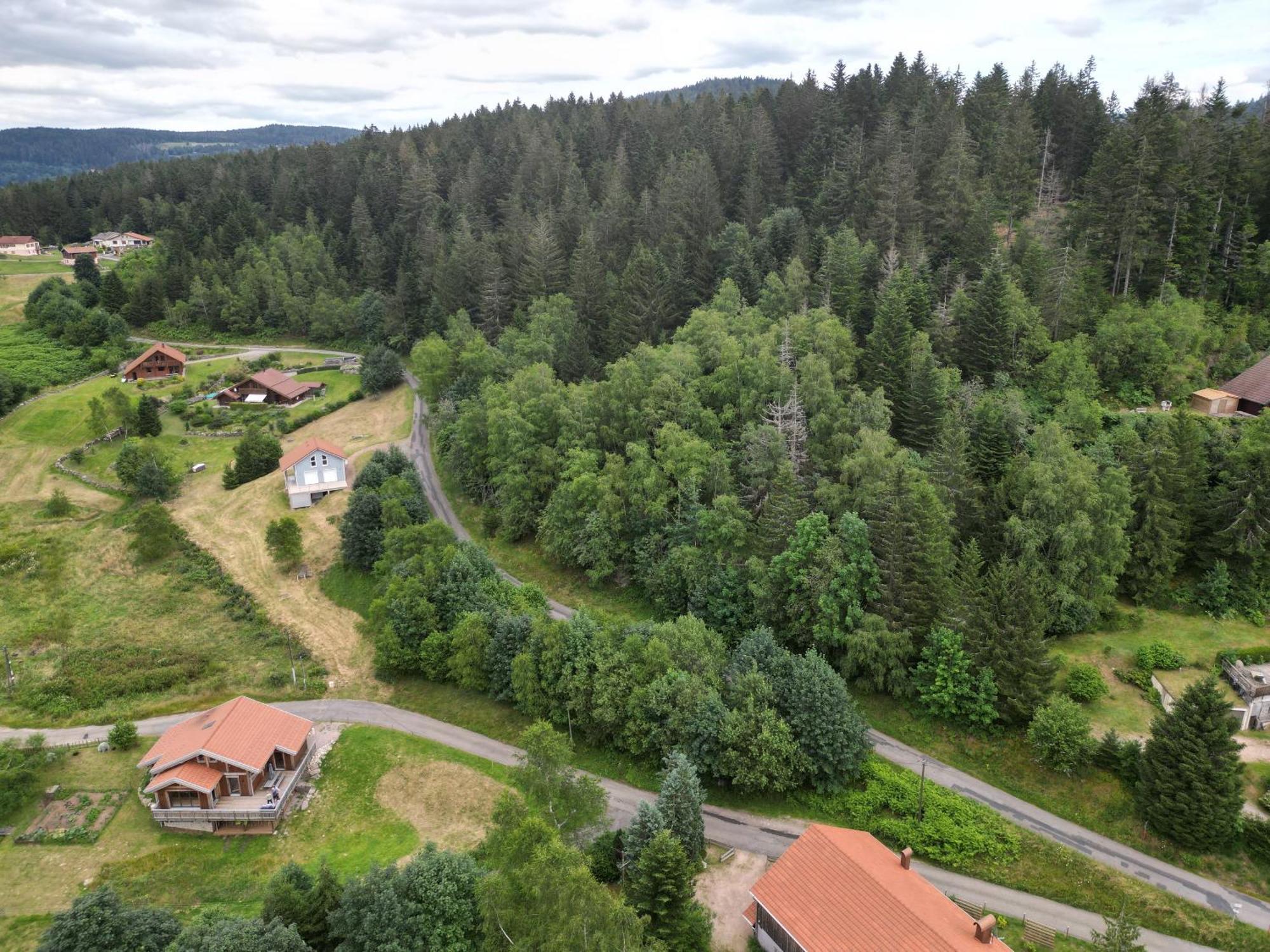 Chalet L'Appel De La Foret Gérardmer Екстериор снимка