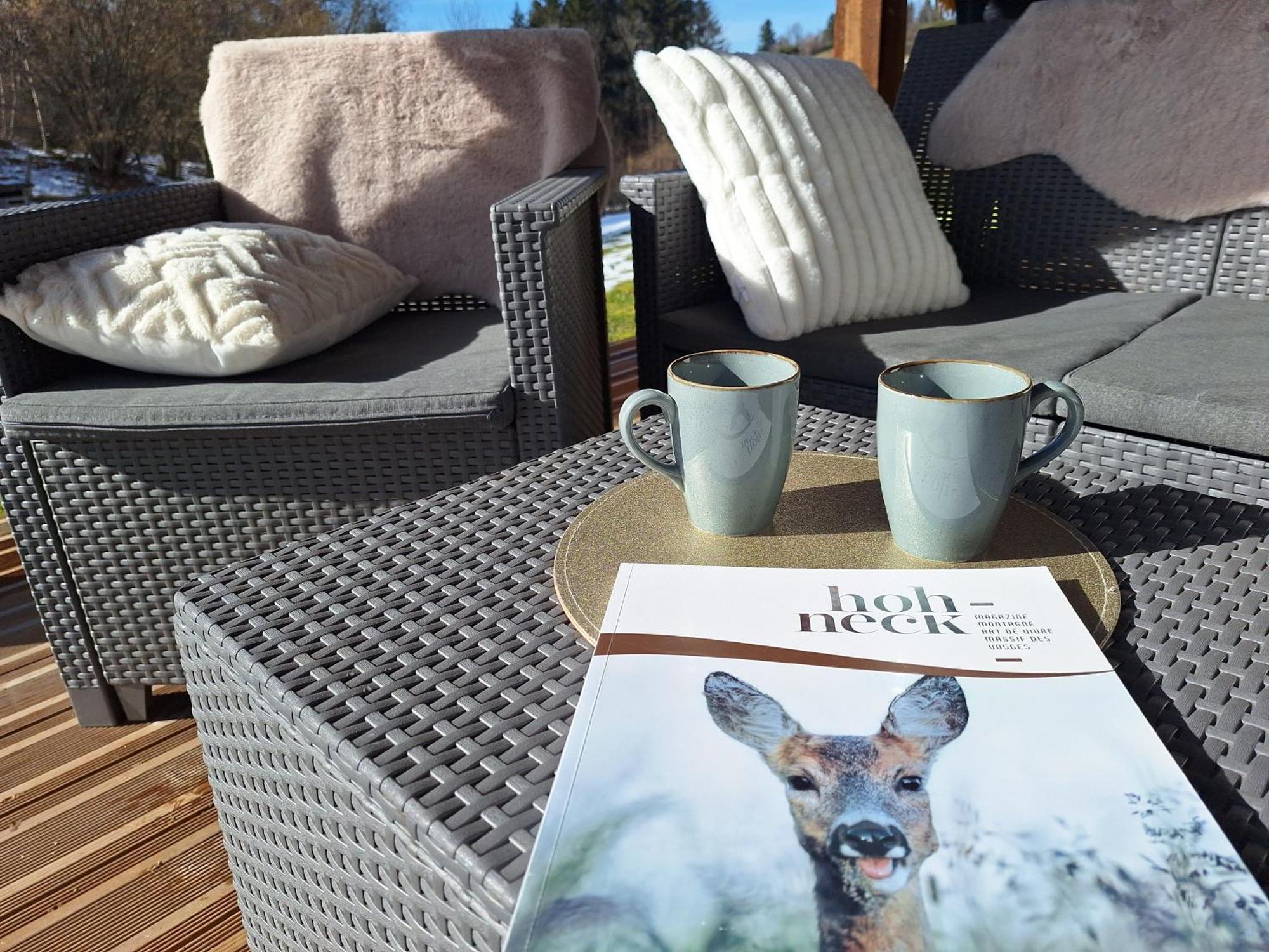 Chalet L'Appel De La Foret Gérardmer Екстериор снимка
